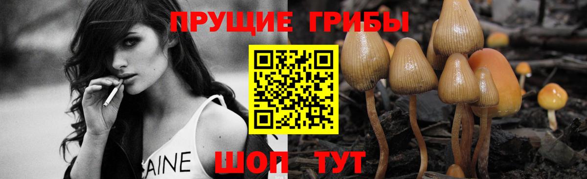 Галлюциногенные грибы Cubensis  купить наркоту  Галлюциногенные грибы GOLDEN TEACHER  Бирск  Вход с VPN 